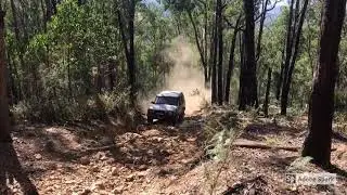 Toolangi and surrounds in the landcruiser 79