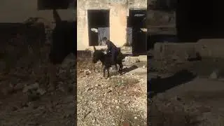 Даврай мактаби ихелишам мешидай 😂😂