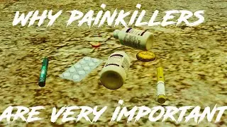 Why Painkillers are Important, and Which ones YOU Should use - EFT PvP Tips