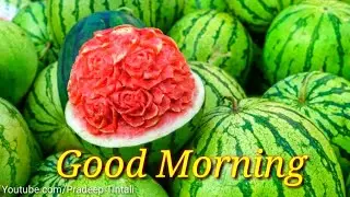Beautiful Good Morning Video - WhatsApp