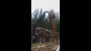 Работа в лесу