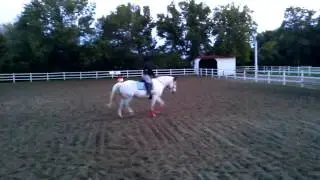 Bravissimo au trot et galop