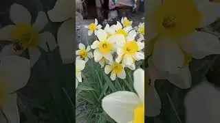 остановись,мгновенье...