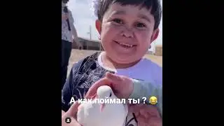 Хасбик и Абдурозик ❤️‍🔥