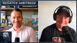 Negative Arbitrage | Animal Spirits 358