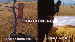 LION CLIMBING UPDATE! | ROBLOX: Eternal Enemies