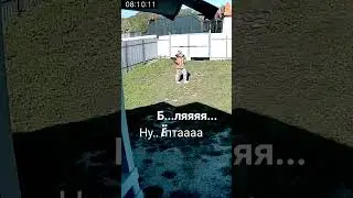 #shorts#shortsvideo#2024#пипец#live#жиза#стройка#дрова#нервы#юмор#like#смотрим#это#популярное#видео