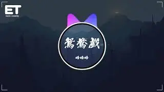 略略略 - 鴛鴦戲『哎呦小情郎你莫愁，此生只為你挽紅袖，三巡酒過月上枝頭，我心悠悠。』【動態歌詞MV】
