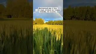 #Бог