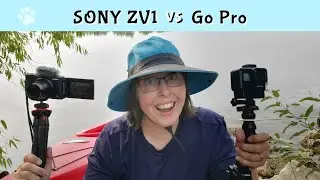 Sony ZV1 vs GO PRO