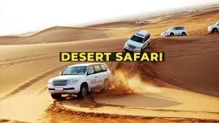 Desert Safari Dubai | Dubai 2024 | Fun times #dubai #dubailife #desertsafari #travel #video #uae