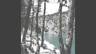 Sentimientos - Harmoniosa