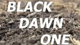 BLACK DAWN ONE - FOLD AND UNFOLD