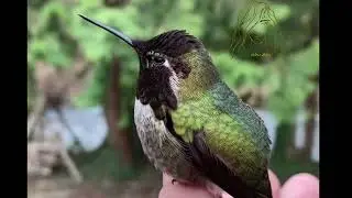 Aprendo lentamente