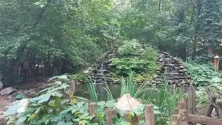 Зоопарк небольшой, но в хорошем стиле. В нём: животные, птицы, рептилии, рыбы. Прогулка с ребенком !
