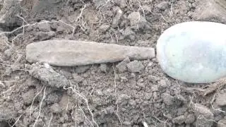 Искатели 47 регион.Коп с подписчиком!/Search coins & relics with a metal detector