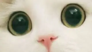 ☕💗