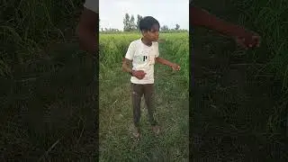 ijjat kiya karo #trending #video #viral #funny #comedy #shorts #mr Indian hacker #crazy xyz #r2h