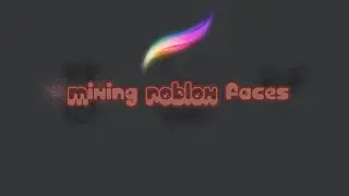 I decided to “mix” ROBLOX faces