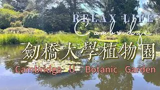 劍橋大學植物園 Cambridge University Botanic Garden （CUBG）