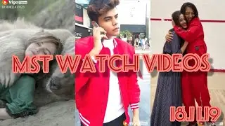 Animal lover || Give love get love creatures || Lovely couples || Vigo videos || Viral videos