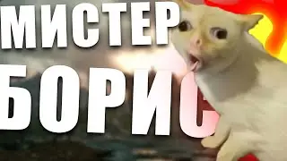 Пьяный кот Мр.Борис (The Elder Scrolls V Skyrim)