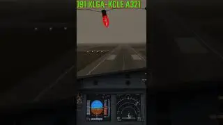 Professional pilot CANT LAND in crosswind l 