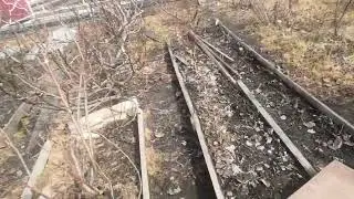 Как перезимовал сад. смотрим.
