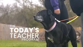 The Today's Teacher Program Featuring Angela Faulds