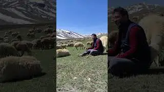 GÜZEL SENİ KAYSERİ'DE GÖRMÜŞLER..   Tarık Kara