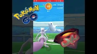 Pokemon go -Dewgong solo snowy weather