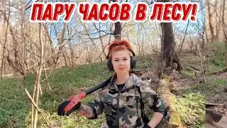 Коп в лесу, на пару часов! 22.04.23г. Поиск монет и старины с Ланой...