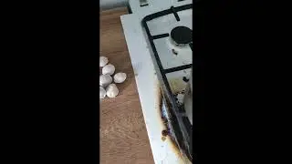 НОВАИ ВИДЕОА