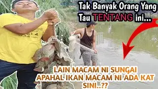 BANYAK IKAN TALAPIA DI SUNGAI KUALA LUMPUR 🇲🇾‼️TIDAK BANYAK YG TAU KEJADIAN ANEH INI ‼️SERAM