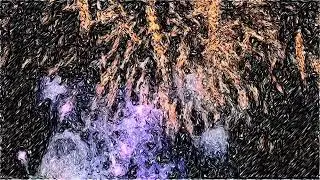 fireworks at night sky - sketch style - MagicVideoArt