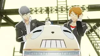 Teddie Can't Fight