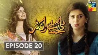 Digest Writer Episode #20 HUM TV Drama