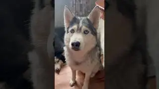 ТОРГУЕМ ОПТОМ