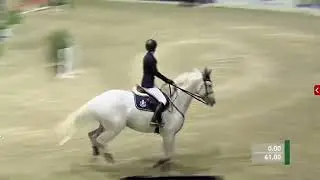 Flaminia Straumann & Double O Seven (Carnute x Irco Mena, Stallion) - VR Classics Neumünster