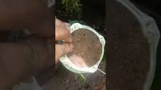 Зачетище !!!!