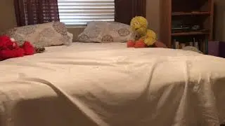 BigBird and Elmo go to court (feat) Code-1