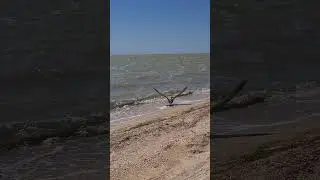 АЗОВСКОЕ МОРЕ 🌊 #море