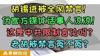 胡锡进突然被禁言！媒体“官方”话事人为什么突然倒台了？禁言90天之后不一定还放出来，这是中共进一步限制言论吗？老胡被禁言冤不冤？