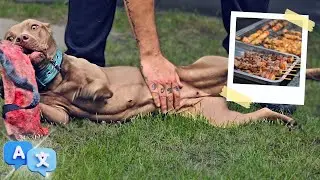 Une fille de SASHA à l' Entrainement + Bonus✨ News bébés [ Sous-Titres MULTI ]