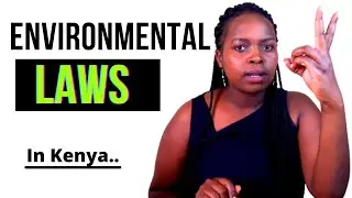 Understanding Environmental Laws in Kenya: The Environmental Management and Coordination Act of 1999