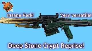 A Raid Reprise With an INSANE Perk! Succession Review // Destiny 2 Into the Light