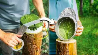 USEFUL Survival SKILLS and SMART camping LifeHACKS in the wilderness!