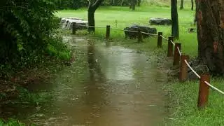 soothing rain sound on the trail of forest park. 8 hours for relaxation