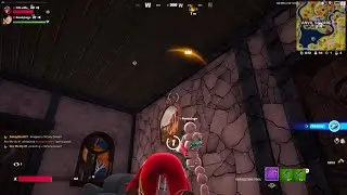 UNEXPECTED WIN WITH MY LIL BRO | 20 KILL WIN! (Fortnite)