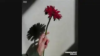 desolent - how did i get here? (w/Willix)